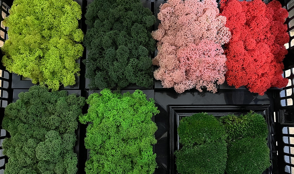 Izlandi zuzmófal: Egyedi dekoráció és személyre szabott tervezés