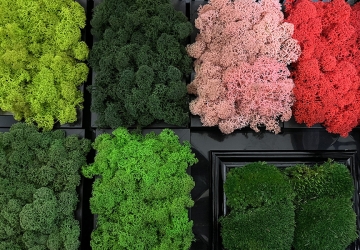 Izlandi zuzmófal: Egyedi dekoráció és személyre szabott tervezés